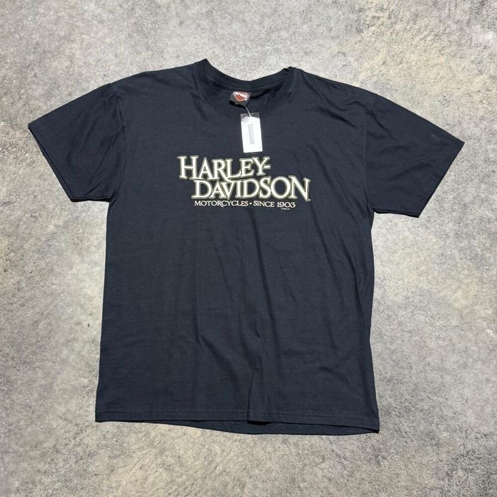 Harley-davidson Men's Black and Navy T-shirt